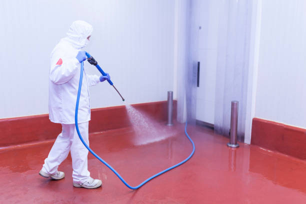 Best Gas Station Cleaning  in Thompson, ND