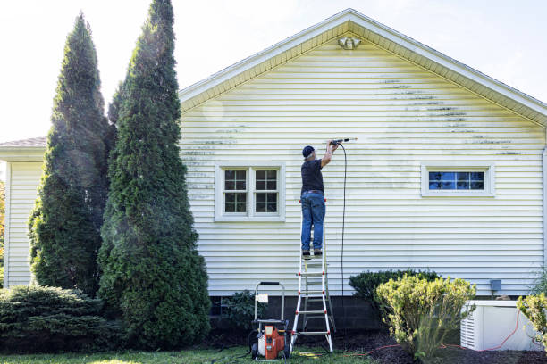 Professional  Pressure Washing Services in Thompson, ND
